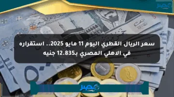 سعر الريال القطري اليوم 11 مايو 2025.. استقراره في الأهلي المصري بـ12.835 جنيه